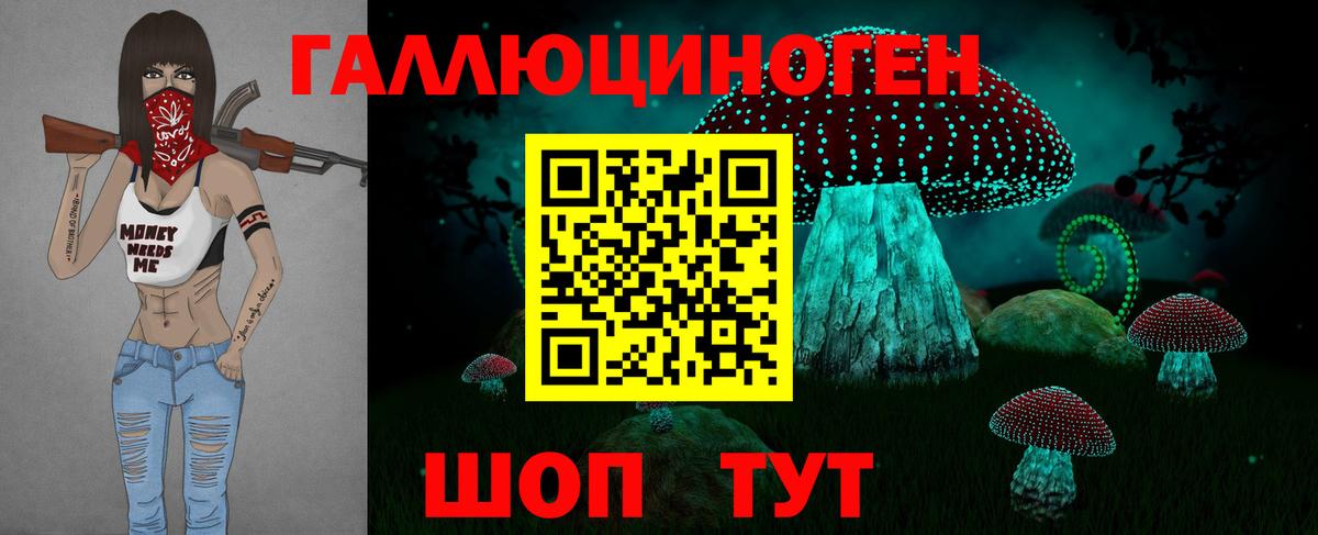 Псилоцибиновые грибы Psilocybine cubensis  Вход с VPN  Псилоцибиновые грибы MAGIC MUSHROOMS  Новосибирск 